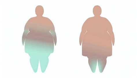 chubby fat|Understanding Body Types: Chubby Vs Fat .